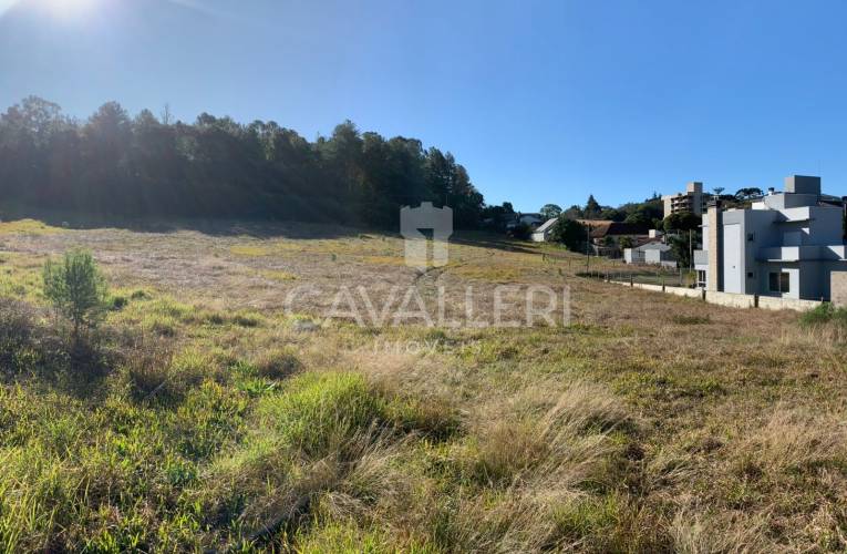 Área de Terras no Centro